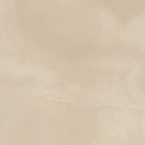 Керамогранит Italon Charme Evo Floor Project Эво Оникс люкс. рет. напольная 59х59