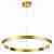 Подвесной светодиодный светильник Odeon Light Brizzi 3885/45LG