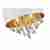 Подвесная люстра ST Luce Lacchia SL1350.503.04 Подвесная люстра ST Luce Lacchia SL1350.503.04