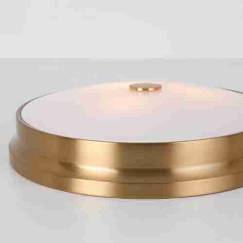 Потолочный светильник Favourite Pannikin 2375-3C