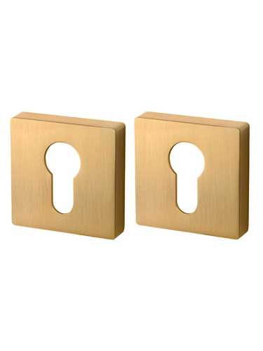 Накладка Armadillo (Армадилло) под цилиндр ET.K.USQ52 (ET USQ) FSG флорентийское золото