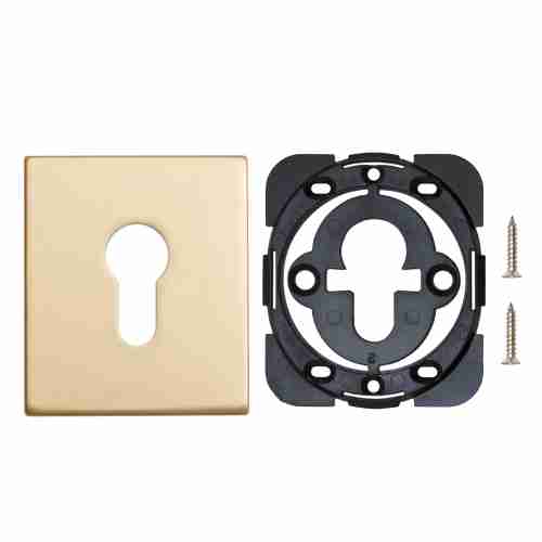 Накладка на цилиндр ESC.C.USS/K (ET Protector/USS) FSG флорентийское золото