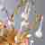 Бра Divinare Salice 3132/16 AP-2 Бра Divinare Salice 3132/16 AP-2