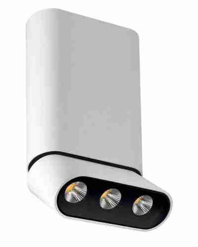Светодиодный спот Lumien Hall Фергус 8005/3CM-WT-BK