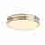 Потолочный светодиодный светильник F-Promo Pall 2744-1C