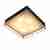 Потолочный светильник ST Luce Chodo SL1127.422.05