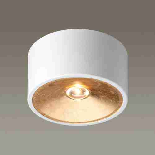 Потолочный светильник Odeon Light Glasgow 3892/1C