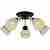 Потолочная люстра TopLight Winnifred TL1255D-05BC