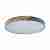Потолочный светодиодный светильник Loft IT Axel 10004/36 grey