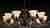 Подвесная люстра Toplight Florence TL7490D-08BL