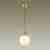 Подвесной светильник Odeon Light Okia 4669/1 Подвесной светильник Odeon Light Okia 4669/1