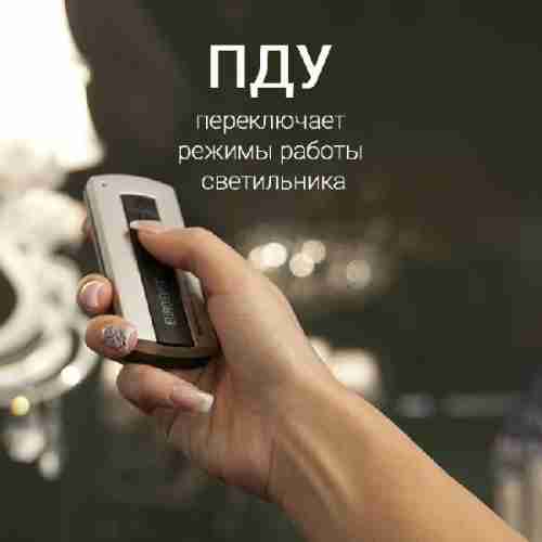 Люстра потолочная Eurosvet Curl 90129/5