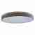 Потолочный светодиодный светильник Loft IT Axel 10001/36 grey