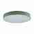 Потолочный светодиодный светильник Loft IT Axel 10002/24  green