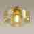 Потолочный светильник Odeon Light Binga 4747/1C