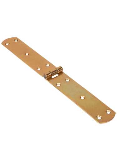 Петля Ajax (Аякс) французская LM/IN300x40x2FR YZN желтый цинк