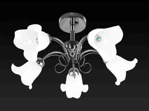 Потолочная люстра Toplight Magdalene TL3490X-05BC