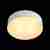 Потолочный светильник ST Luce Chio SL392.502.04 Потолочный светильник ST Luce Chio SL392.502.04