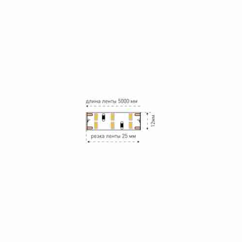 Светодиодная лента SWG SWG4240x2 SWG4240x2-12-24-WW