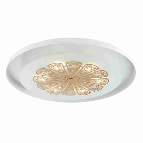 Потолочный светодиодный светильник Favourite Incarnatio 2602-5C