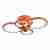 Потолочная светодиодная люстра iLedex Ring A001/4 Orange Потолочная светодиодная люстра iLedex Ring A001/4 Orange