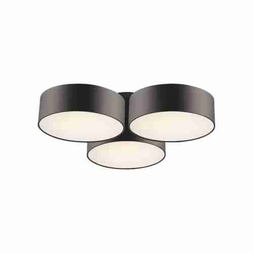 Потолочный светильник Favourite Cerchi 1514-6C