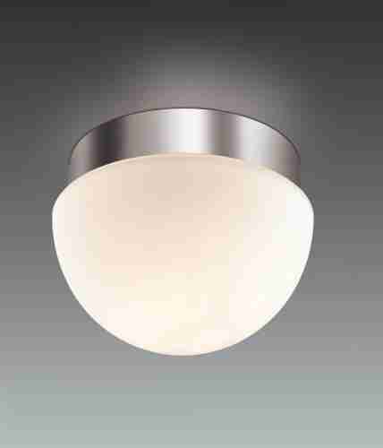Потолочный светильник Odeon Light Minkar 2443/1A