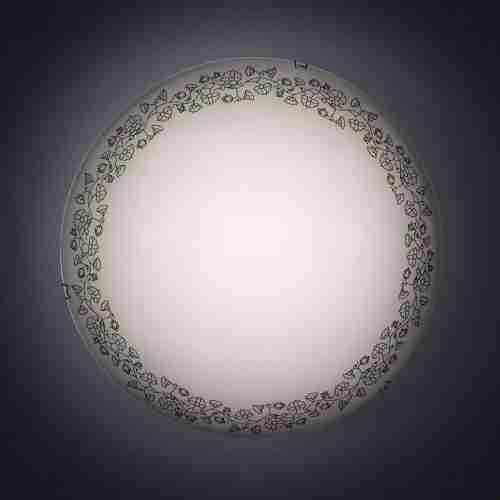 Настенный светильник Citilux Вьюнок CL917010