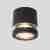 Потолочный светильник уличный Oasis Light 6042 6042 Gr Потолочный светильник уличный Oasis Light 6042 6042 Gr