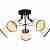 Потолочная люстра TopLight Persis TL1256D-05BK