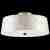 Потолочный светильник Lightstar Perla 707261