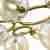 Подвесная люстра ST Luce Gorizia SL1162.303.07 Подвесная люстра ST Luce Gorizia SL1162.303.07